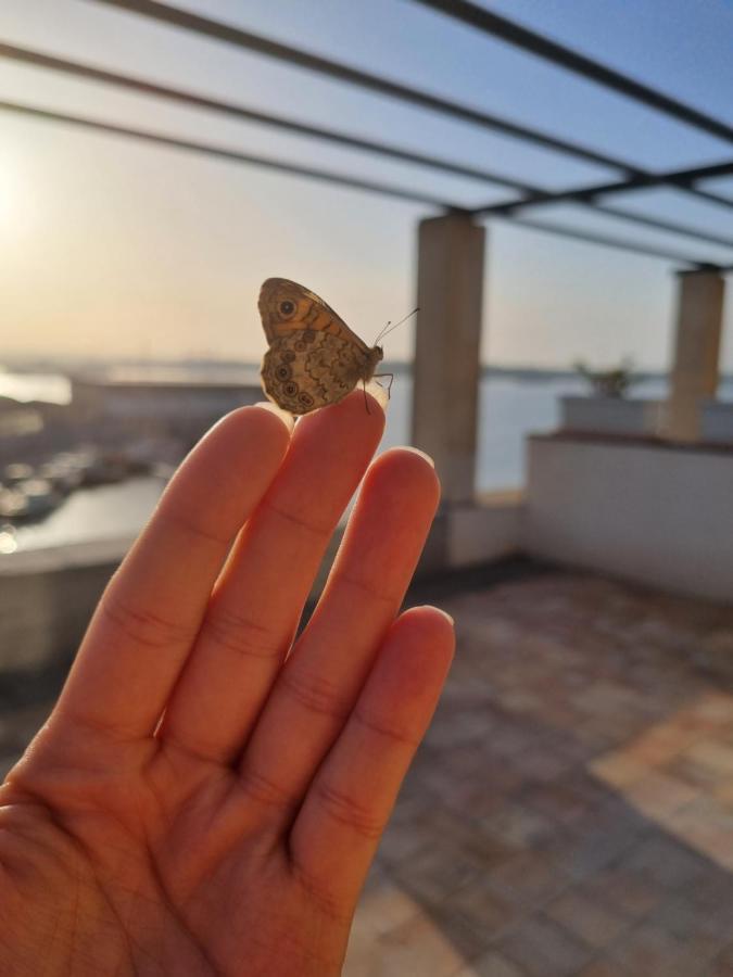 Villa Sul Molo Tra Siracusa E Catania Augusta Buitenkant foto